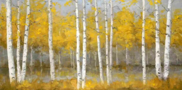 Birch Tree Grove in Spring