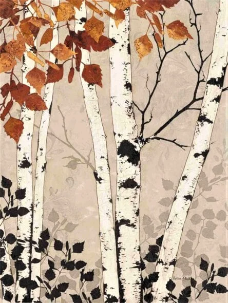 Birch Trees (02)