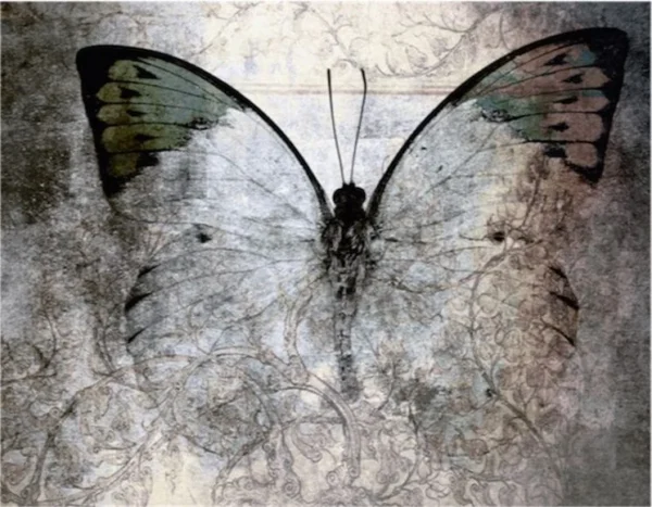 Butterfly (03)